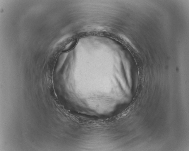 X0000073921063200609011803