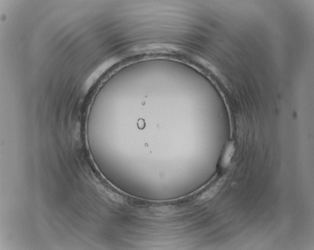 X0000073921066200609011803