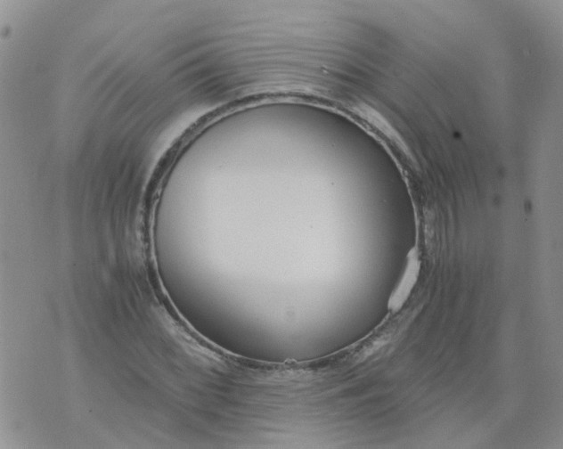 X0000073921068200609011803