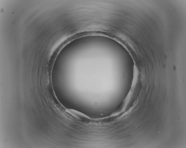 X0000073921069200609011803