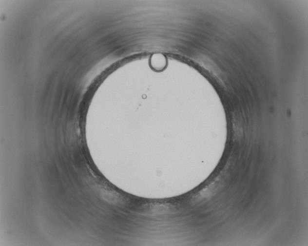 X0000073921070200609011803