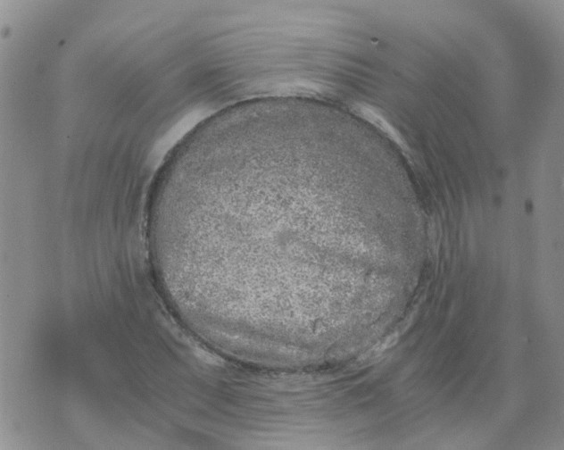 X0000073921071200609011803