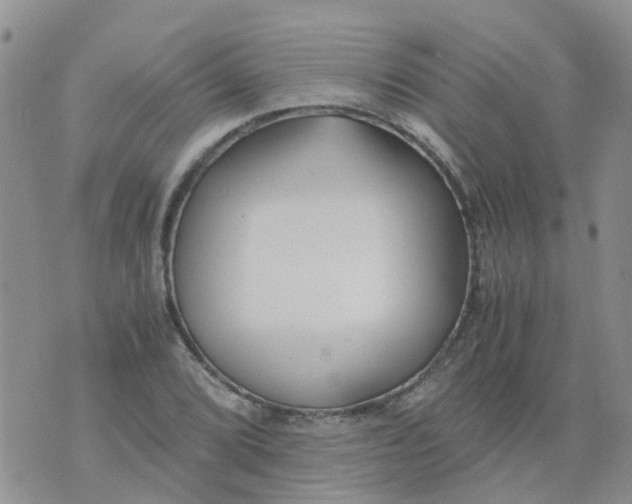 X0000073921072200609011803