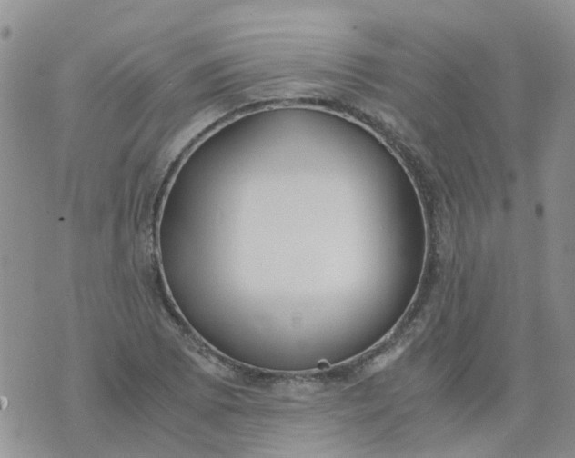 X0000073921073200609011803