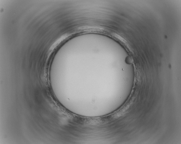 X0000073921074200609011803