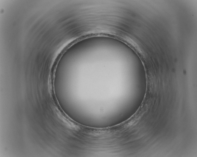 X0000073921076200609011803