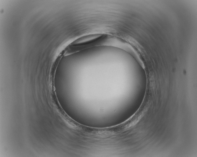 X0000073921077200609011803