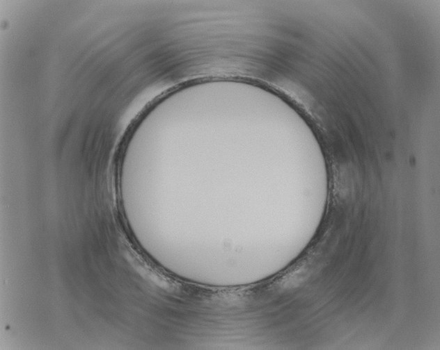 X0000073921078200609011803