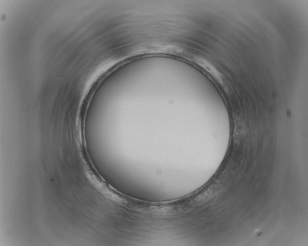 X0000073921080200609011803