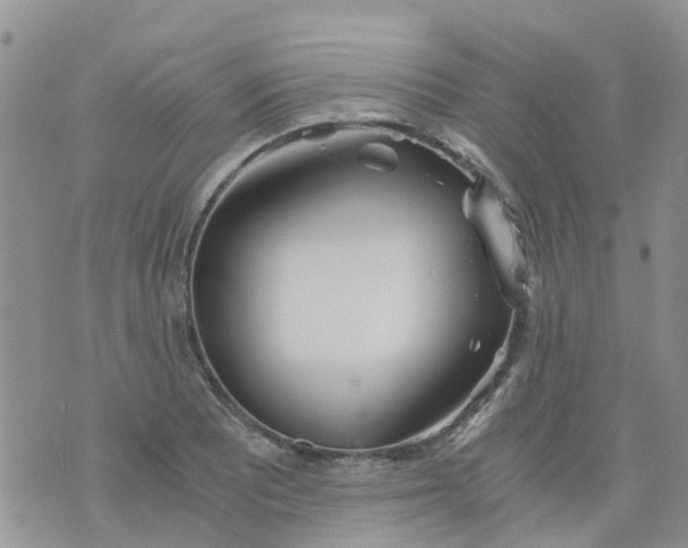 X0000073921081200609011803