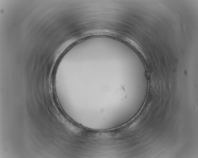 X0000073921082200609011803