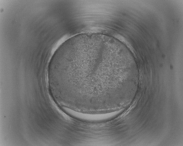 X0000073921083200609011803