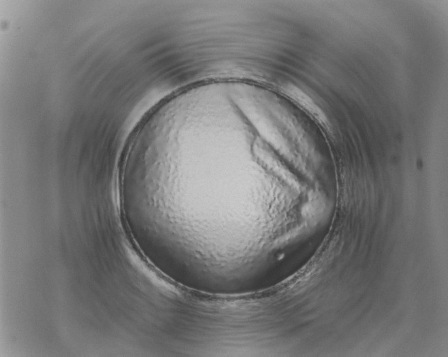 X0000073921084200609011803