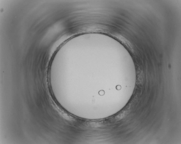 X0000073921086200609011803