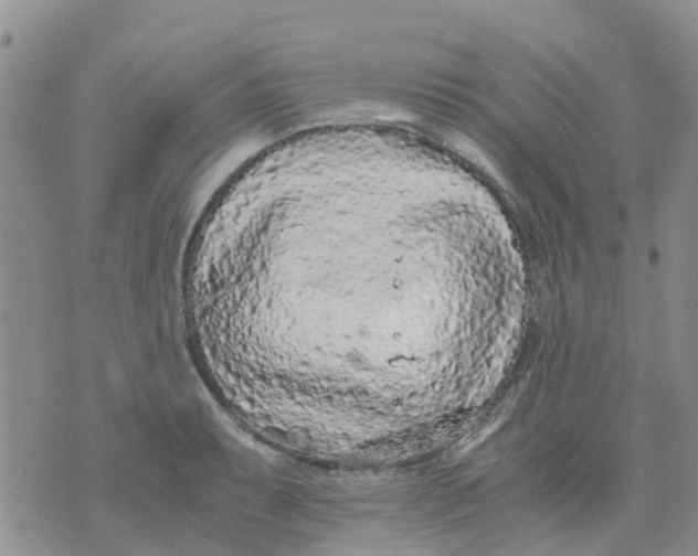 X0000073921087200609011803