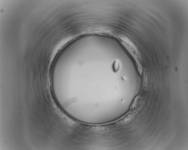 X0000073921088200609011803