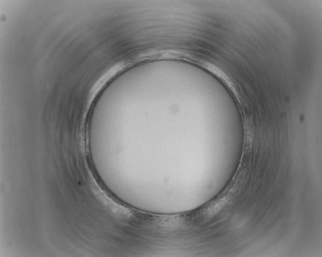 X0000073921090200609011803