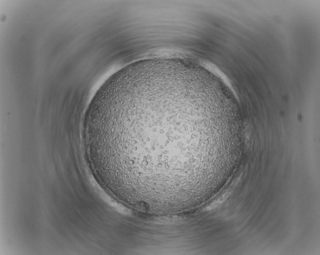 X0000073921091200609011803