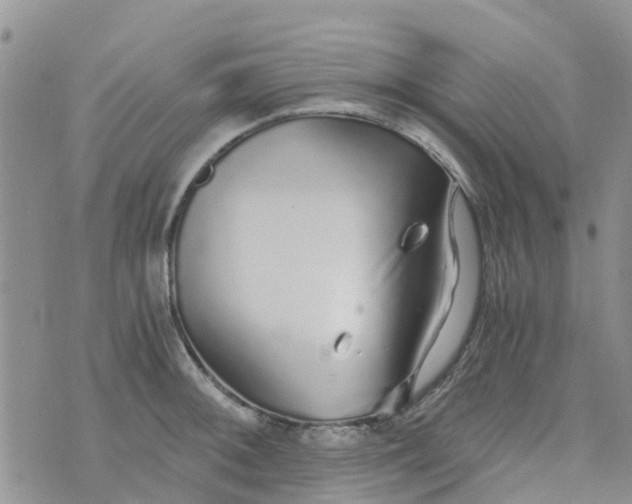 X0000073921092200609011803