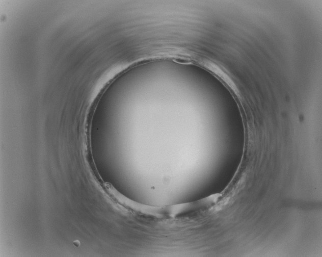 X0000073921093200609011803