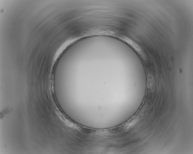 X0000073921094200609011803