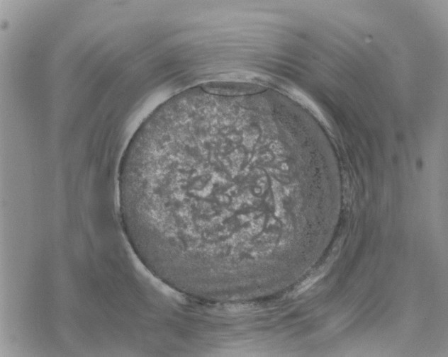 X0000073921095200609011803