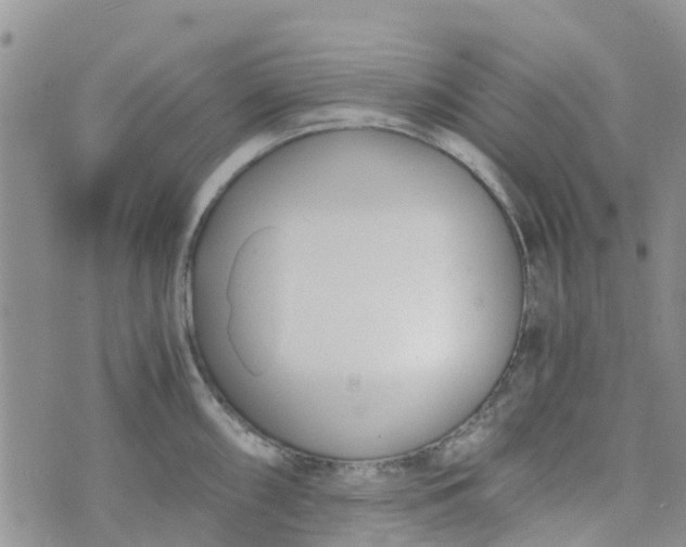 X0000073921098200609011803