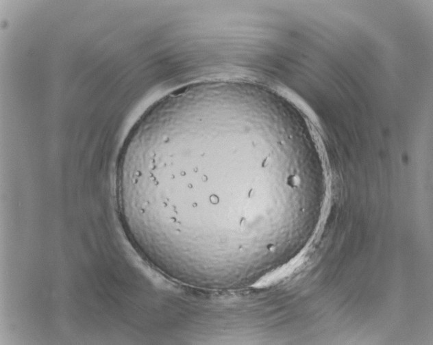 X0000073921099200609011803