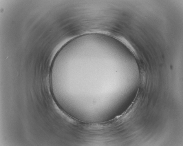 X0000073921100200609011803