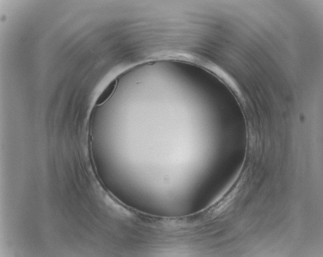 X0000073921102200609011803