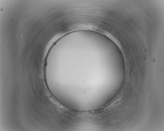 X0000073921104200609011803