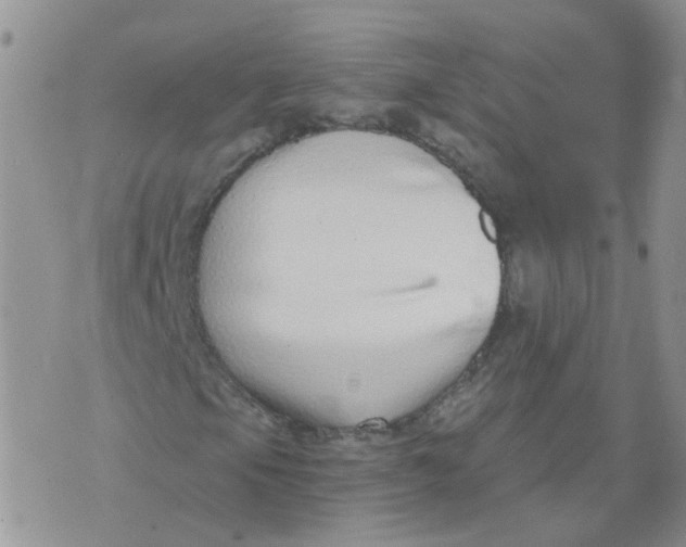 X0000073921105200609011802