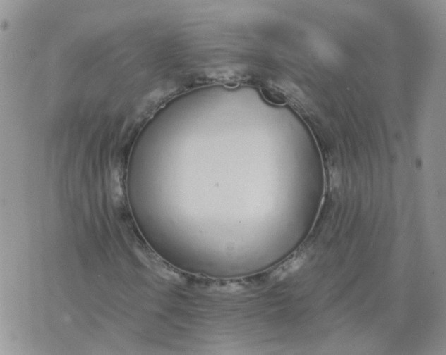 X0000073921106200609011802