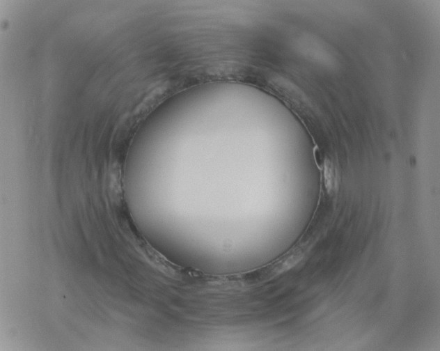 X0000073921107200609011802