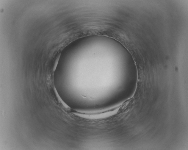 X0000073921109200609011802