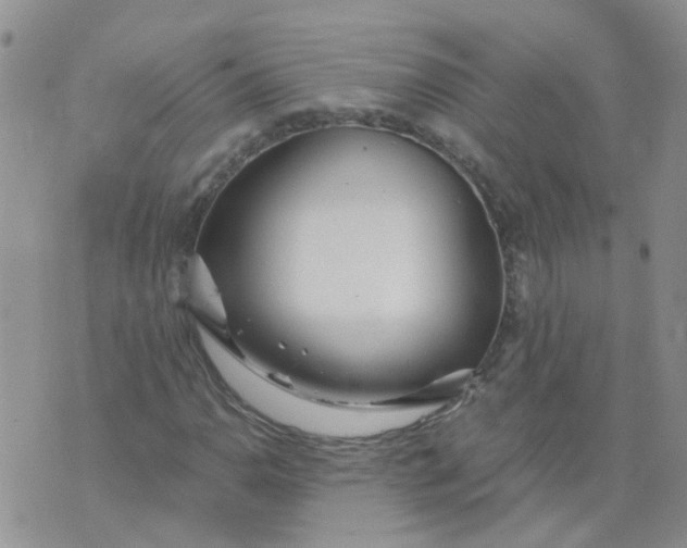 X0000073921110200609011802