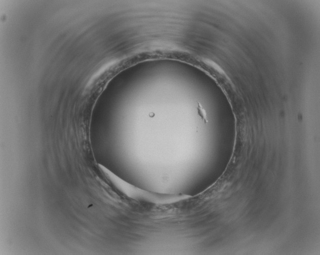 X0000073921112200609011802