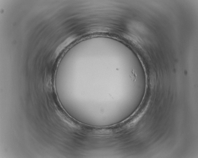 X0000073921113200609011802