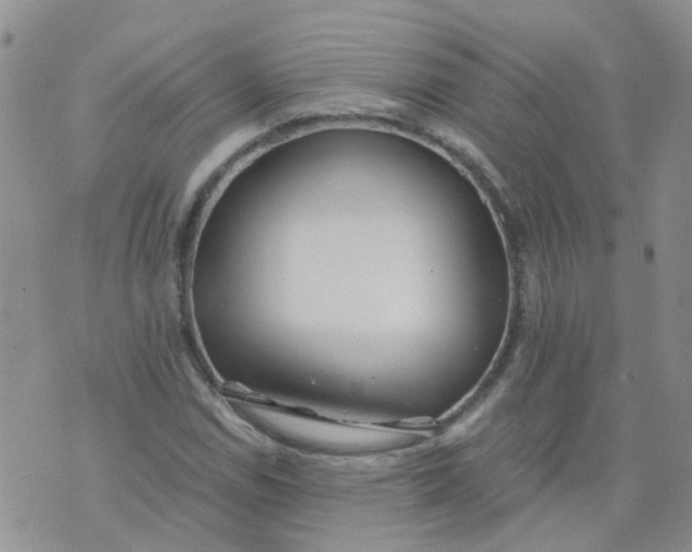 X0000073921114200609011802