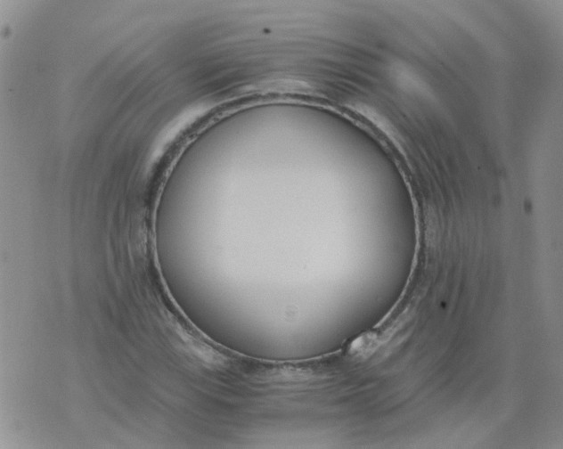 X0000073921115200609011802