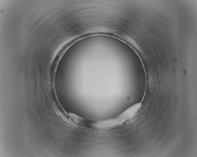 X0000073921116200609011802