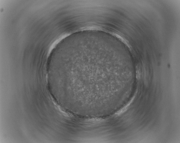 X0000073921117200609011802