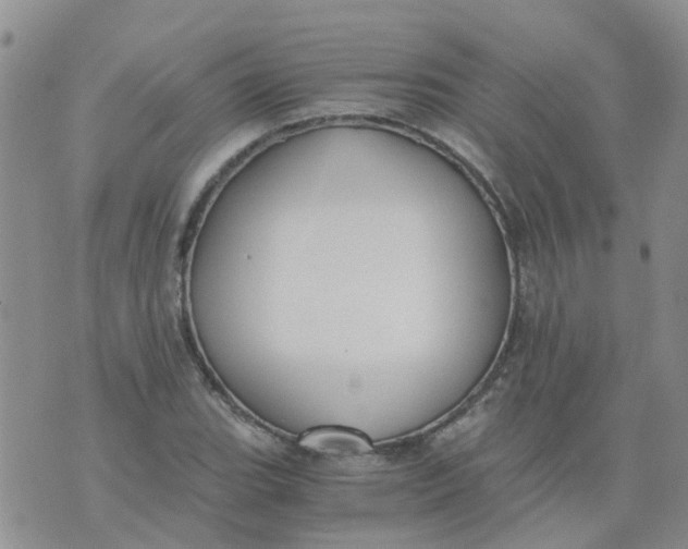 X0000073921119200609011802