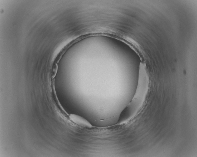 X0000073921120200609011802