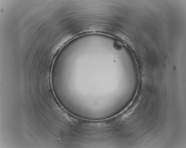 X0000073921121200609011802