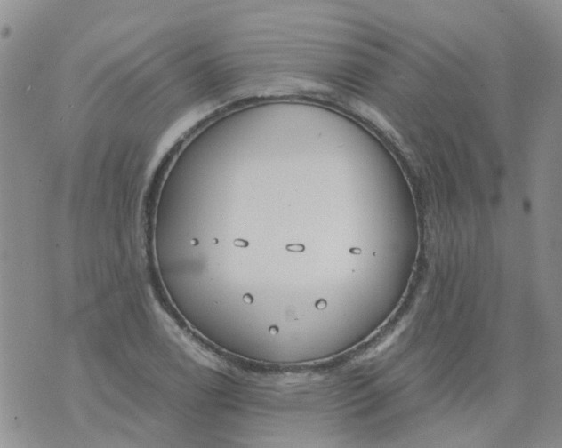 X0000073921122200609011802