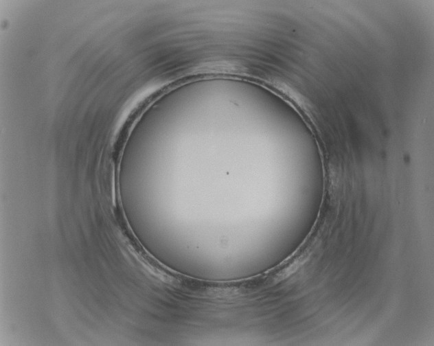 X0000073921123200609011802