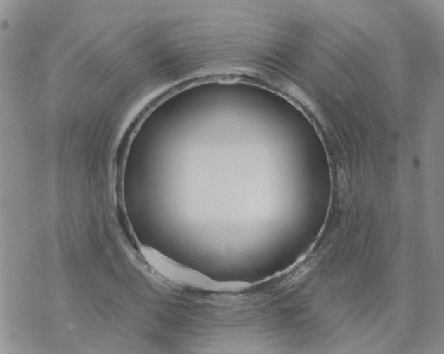 X0000073921124200609011802