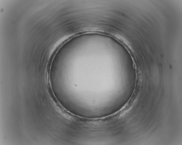 X0000073921125200609011802