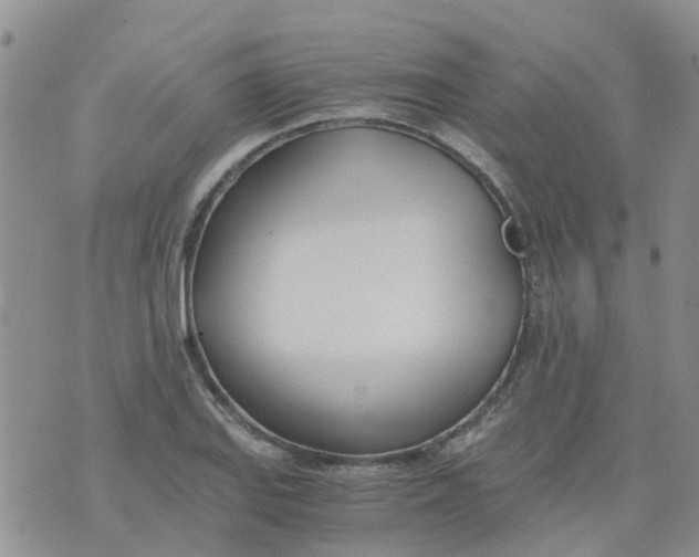 X0000073921127200609011802